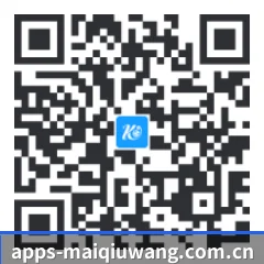 iPhone APP 二维码